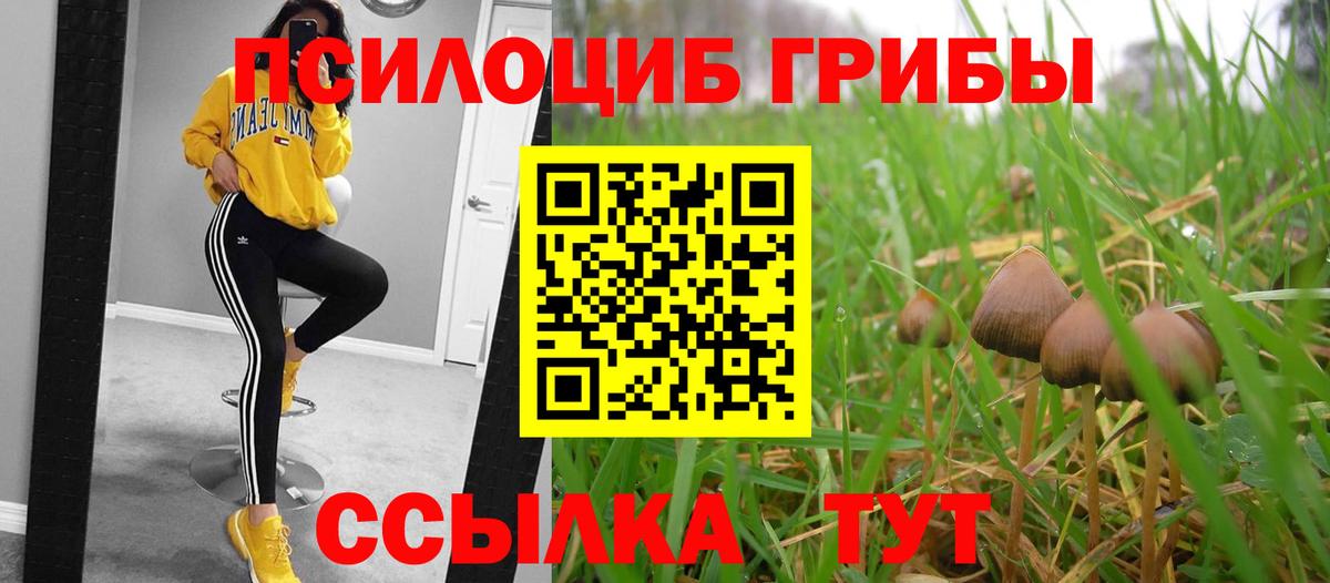 Галлюциногенные грибы прущие грибы Ачхой-Мартан